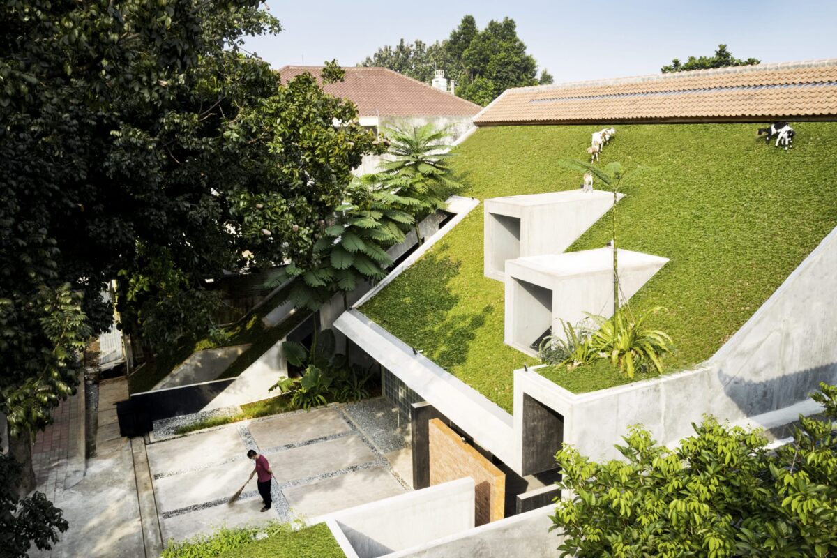 goats-graze-on-the-roof-of-this-concrete-office-in-jakarta-icon-magazine